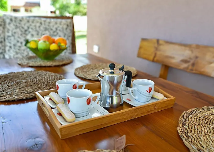 Gradina 2388